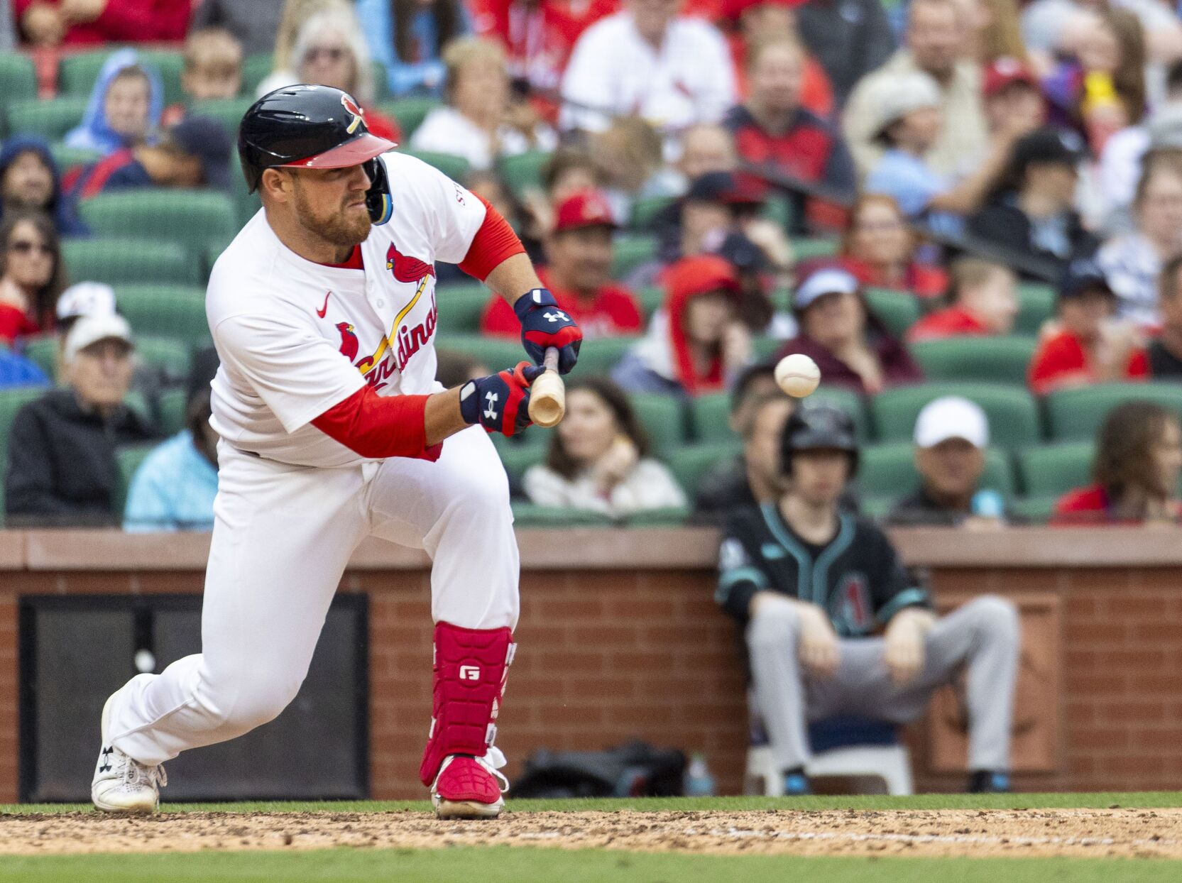 51黑料 Cardinals host Arizona Diamondbacks